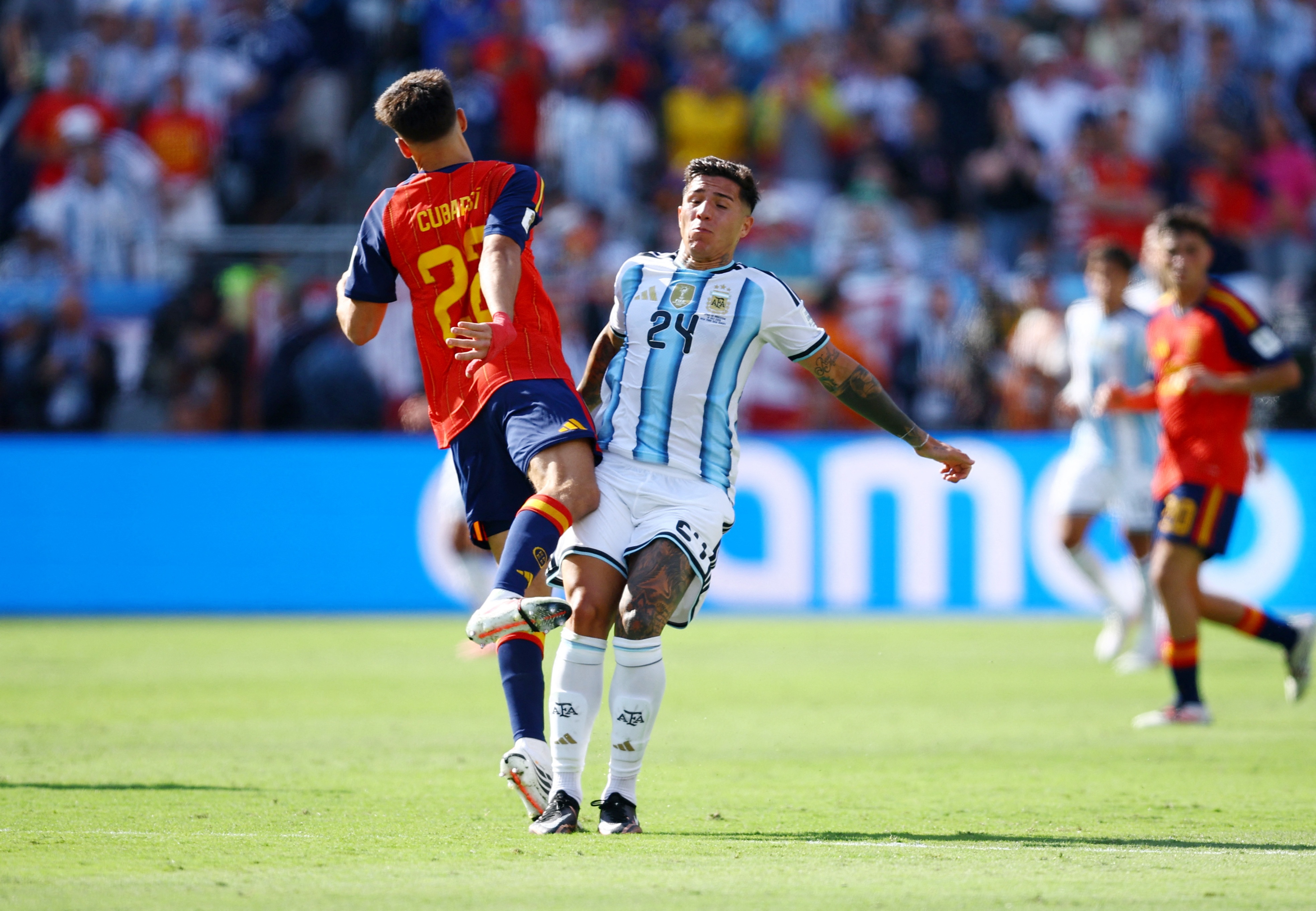 Enzo Fernandez ảnh 1