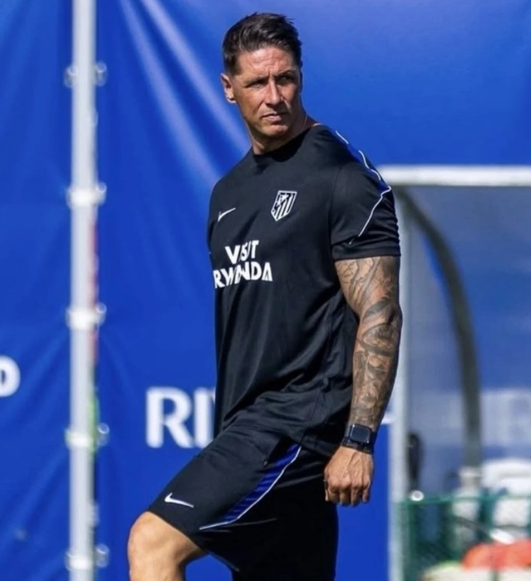 Fernando Torres ảnh 1