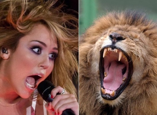 Nhung khoanh khac giong dong vat cua sao Hollywood hinh anh