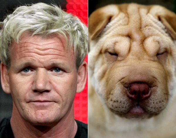 Gordon James Ramsay,đầu bếp nổi tiếng người Scotland.