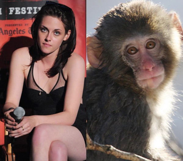 Kristen Stewart, nàng Bella trong series Chạng vạng.