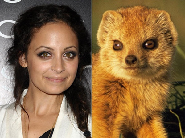 Nữ diễn viên Nicole Richie.