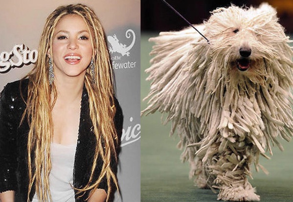 Shakira, ngôi sao nhạc Pop người Colombia.