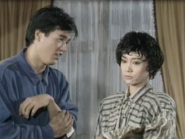 Đây là một trong những bộ phim truyền hình đình đám của Quỳnh Dao với bộ ba diễn viên chính Tần Hán - Lưu Tuyết Hoa - Lâm Thoại Dương, đang phát sóng trên THVL2 lúc 20h mỗi ngày.