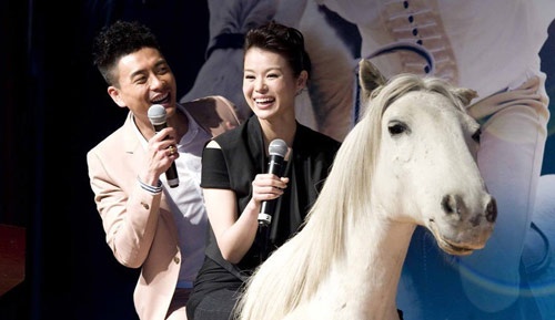 Trong lứa diễn viên 8x của TVB, Hồ Hạnh Nhi và Huỳnh Tông Trạch được xem là một đôi “Tiên đồng - Ngọc nữ”. Không chỉ yêu nhau trong các phim Mẹ chồng nàng dâu, ngoài đời họ đã viết một mối tình làm hao tốn giấy mực của giới truyền thông Hong Kong. Năm 2011, sau khi cùng sang Trung Quốc đóng cặp trong bộ phim Trường đua ngựa, Hồ Hạnh Nhi và Huỳnh Tông Trạch đường ai nấy đi khiến fan tiếc nuối.