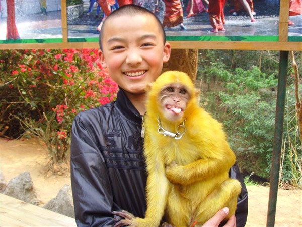 Rất ngưỡng mộ Thích Tiểu Long nên từ bé Mạnh Ngạn Sâm đã yêu thích võ thuật, say mê hình ảnh của những tiểu hòa thượng. 6 tuổi, cậu bé được cha đưa lên Thiếu Lâm tự, cạo đầu, học võ. Thời gian đầu còn nhớ nhà vì mỗi tháng chỉ về một lần nhưng dần dần, cuộc sống nơi ngôi chùa danh tiếng đã níu chân Mạnh Ngạn Sâm suốt gần 10 năm. 