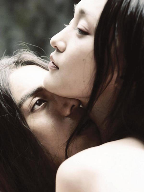 Được Vương Sinh (Trần Khôn đóng) cứu mạng, Tiểu Duy (Châu Tấn đóng) - thực chất là một con hồ ly phải ăn tim người để sống, đã đem lòng yêu vị tướng trẻ này. Dù rất thương vợ là Bối Dung (Triệu Vy đóng), song Vương Sinh vẫn không qua vượt qua được sự quyến rũ của Tiểu Duy. Chính mối tình tay ba này đã tạo nên sức hấp dẫn trong bộ phim Họa bì (2008).