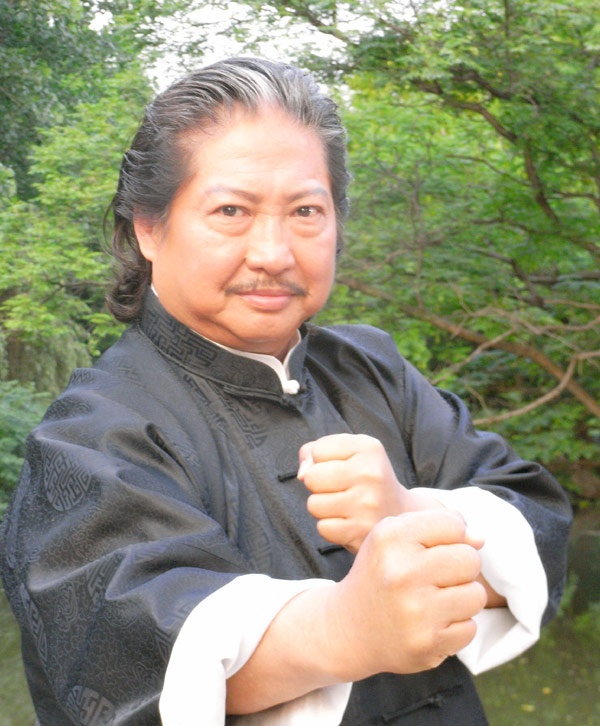 Mặc dù có ngoại hình nặng ký nhưng Hồng Kim Bảo đã khiến khán giả sửng sốt với những màn đánh võ mẫn tiệp, nhanh nhẹn và uy nghi. Thời trẻ, ông là một ngôi sao võ thuật nổi tiếng chẳng thua kém cậu sư đệ Thành Long. Từ lúc rút về phía sau máy quay, ông đã tạo nên những thước phim kungfu đẹp mắt, hấp dẫn với vai trò đạo diễn võ thuật cho nhiều bộ phim, gần đây có Kiến long tá giáp, Diệp Vấn (2008), Địch Nhân Kiệt - Thông thiên đế quốc (2010), Thái cực (2012)…