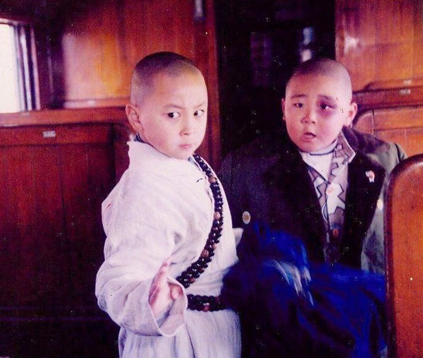 Gương mặt kháu khỉnh, động tác võ thuật linh hoạt của Thích Tiểu Long ngay lập tức được chú 