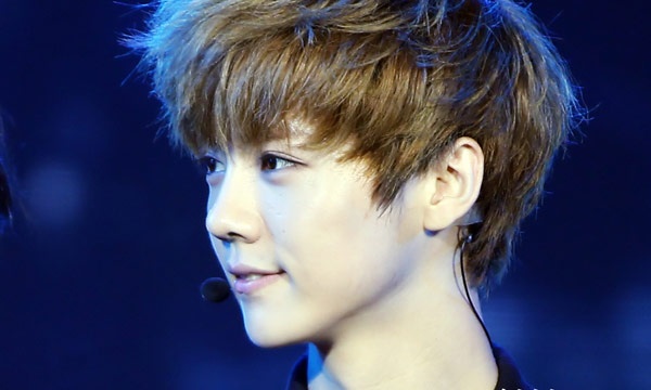 Năn 2008, trong thời gian du học ở Hàn Quốc, Lộc Hàm được Công ty S.M Entertainment phát hiện, sau khi đào tạo đã chính thức ra mắt ngày 8/4/2012, là giọng ca chính của nhóm nhạc thần tượng EXO. Từ xứ cao ly, anh chàng sinh ngày 20/4/1990 “đánh ngược” về Trung Quốc khiến hàng triệu fan nữ gào thét, khóc lóc khi gặp mặt. Hiện tại, khán giả đang chờ đợi bộ phim điện ảnh hợp tác Hàn - Trung Trở về tuổi 20 do Lộc Hàm đảm nhận vai chính sẽ ra rạp vào ngày 8/1/2015 tới đây.