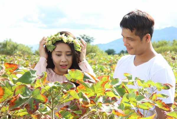 Chí Hào (Trương Thế Vinh) và Thiên Kim (Tường Vy) là đôi tình nhân đẹp.