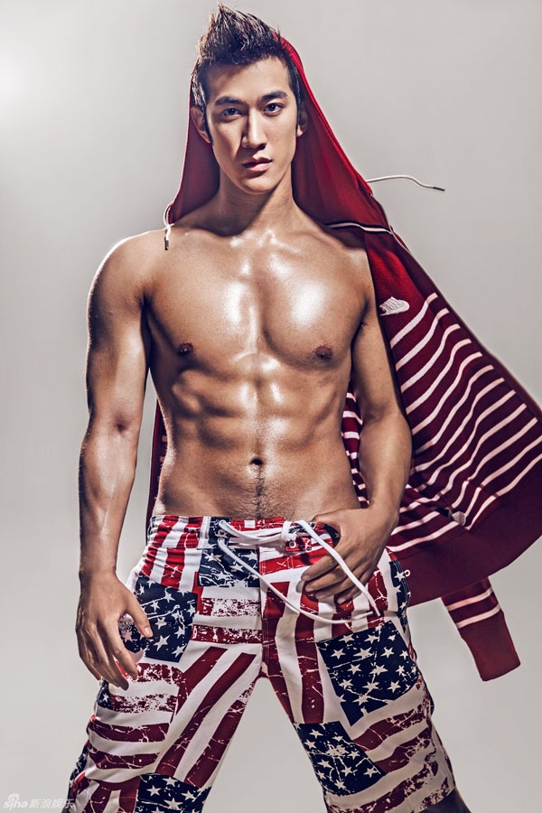 Tuy nhiên, Lý Tiểu Long chưa thể giúp Lý Trị Đình tỏa sáng. Suốt mấy năm sau đó, anh rơi vào giai đoạn tranh sáng tranh tối, phim vẫn đóng, đĩa hát vẫn phát hành nhưng tên tuổi vẫn nhàn nhạt. Người ta chỉ nhớ đến anh qua hình ảnh một ca sĩ - diễn viên đẹp trai có body săn chắc.