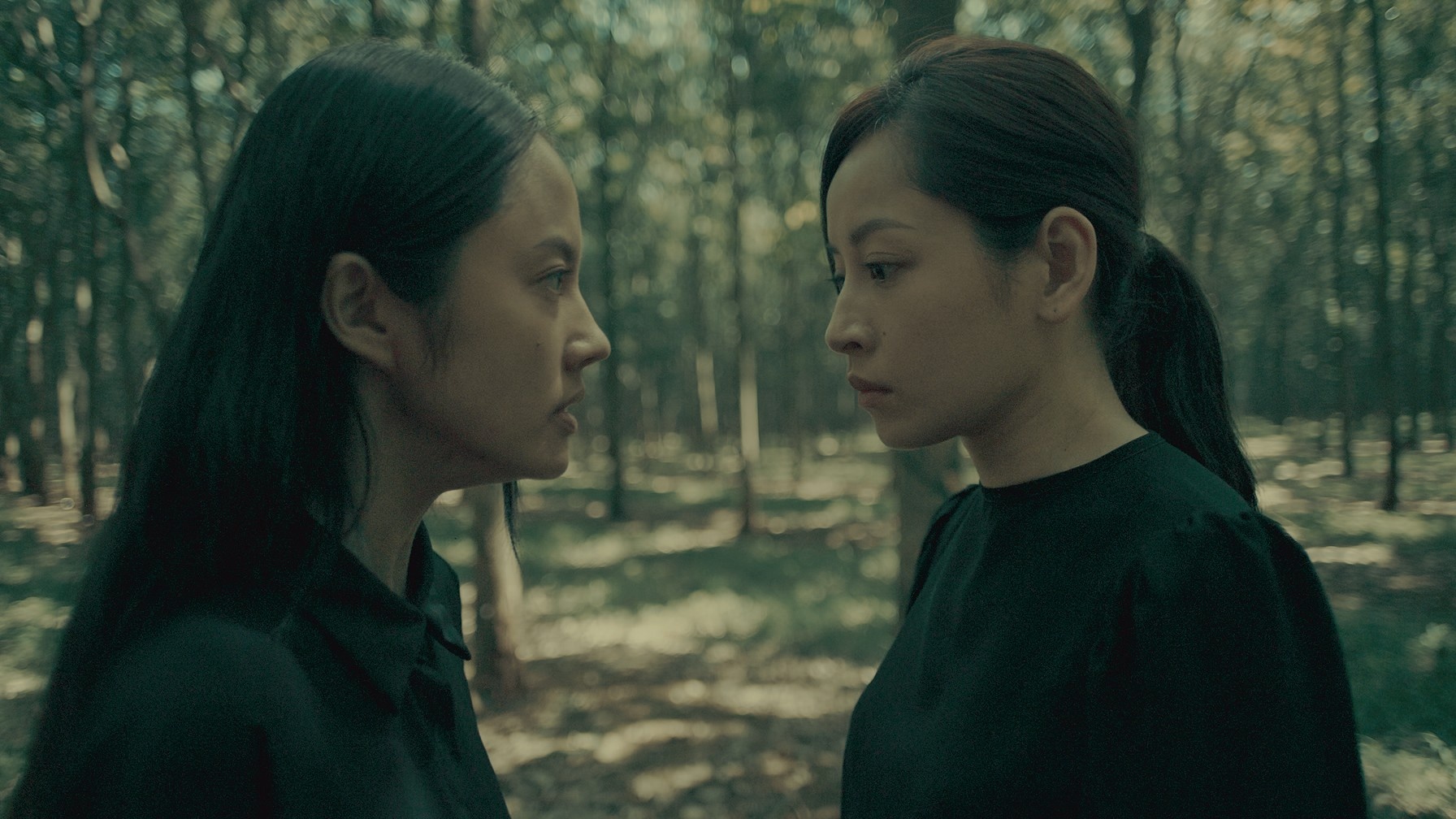 thoai phim Viet anh 3