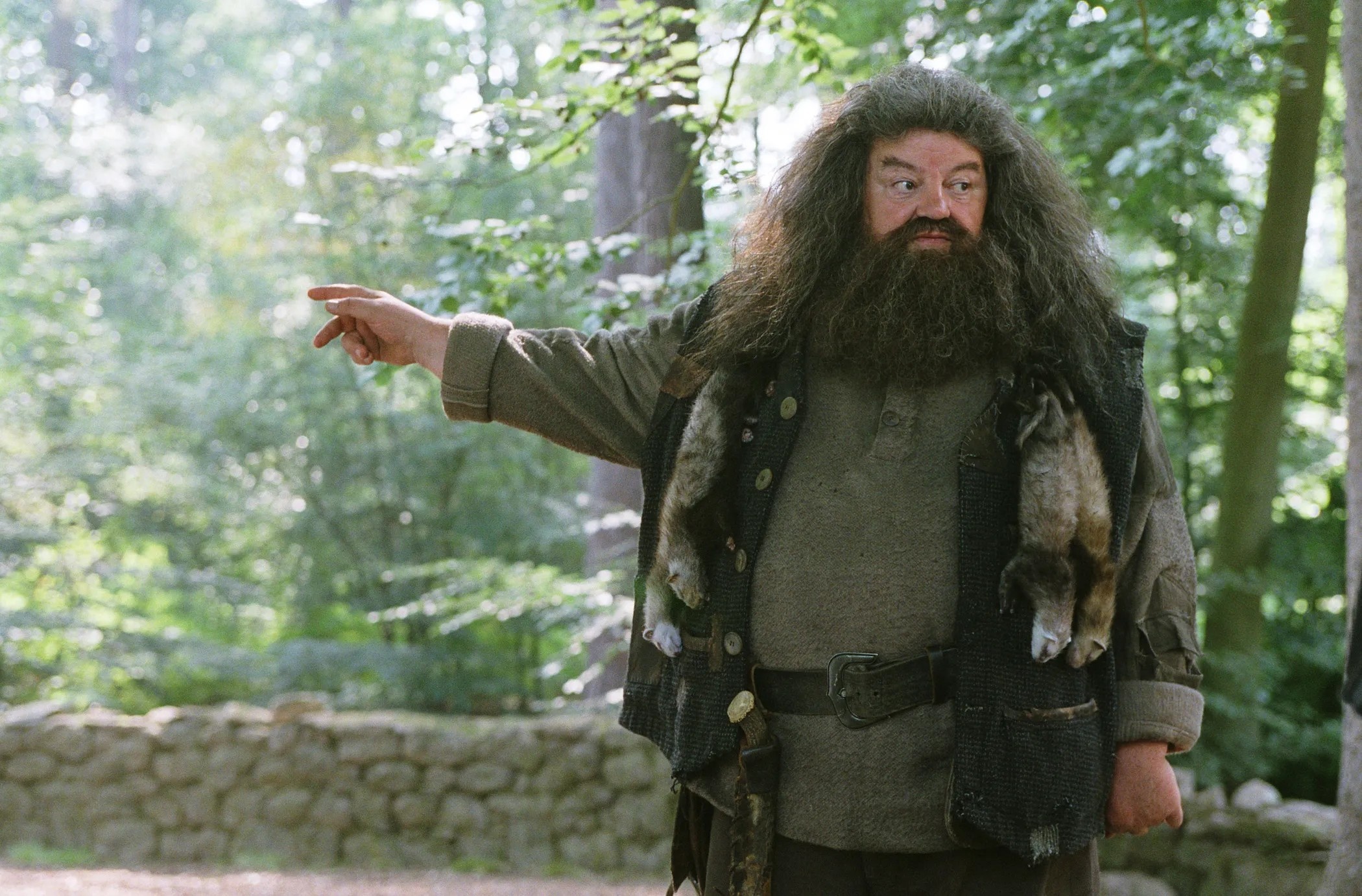 Tam biet, bac Hagrid khong lo hinh anh