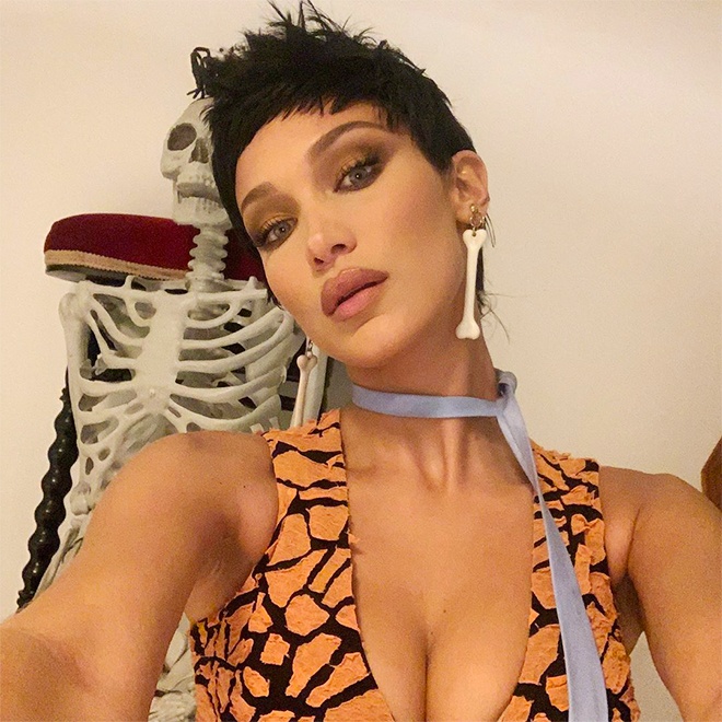 Bella Hadid anh 6