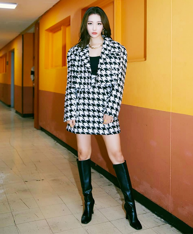 Hoa tiet houndstooth anh 11