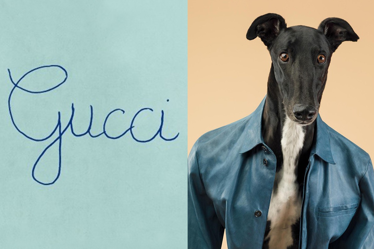 Gucci thay anh dai dien, cho mac quan ao va loat quang cao doc la hinh anh