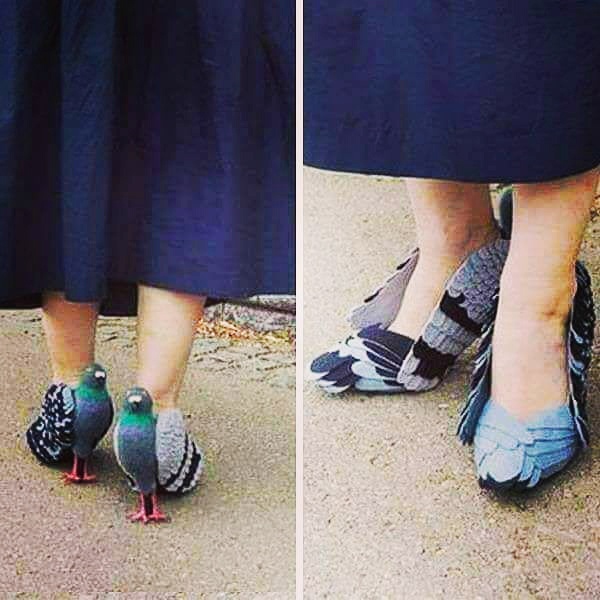 Giay bach tuoc anh 4