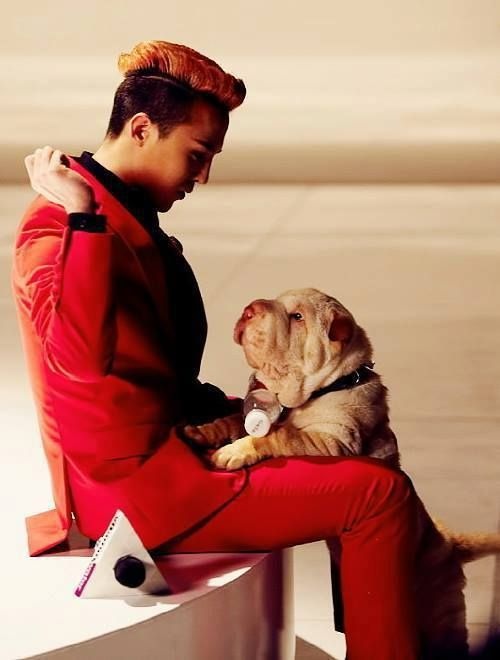 G-Dragon ảnh 3 G-Dragon anh 3