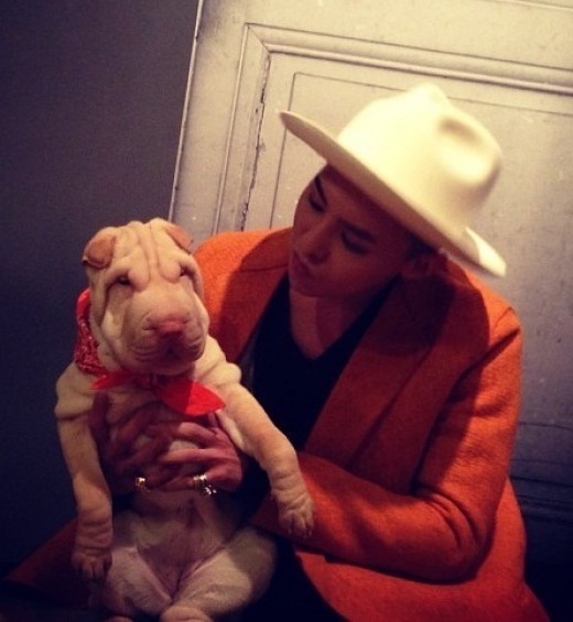 G-Dragon ảnh 4 G-Dragon anh 4