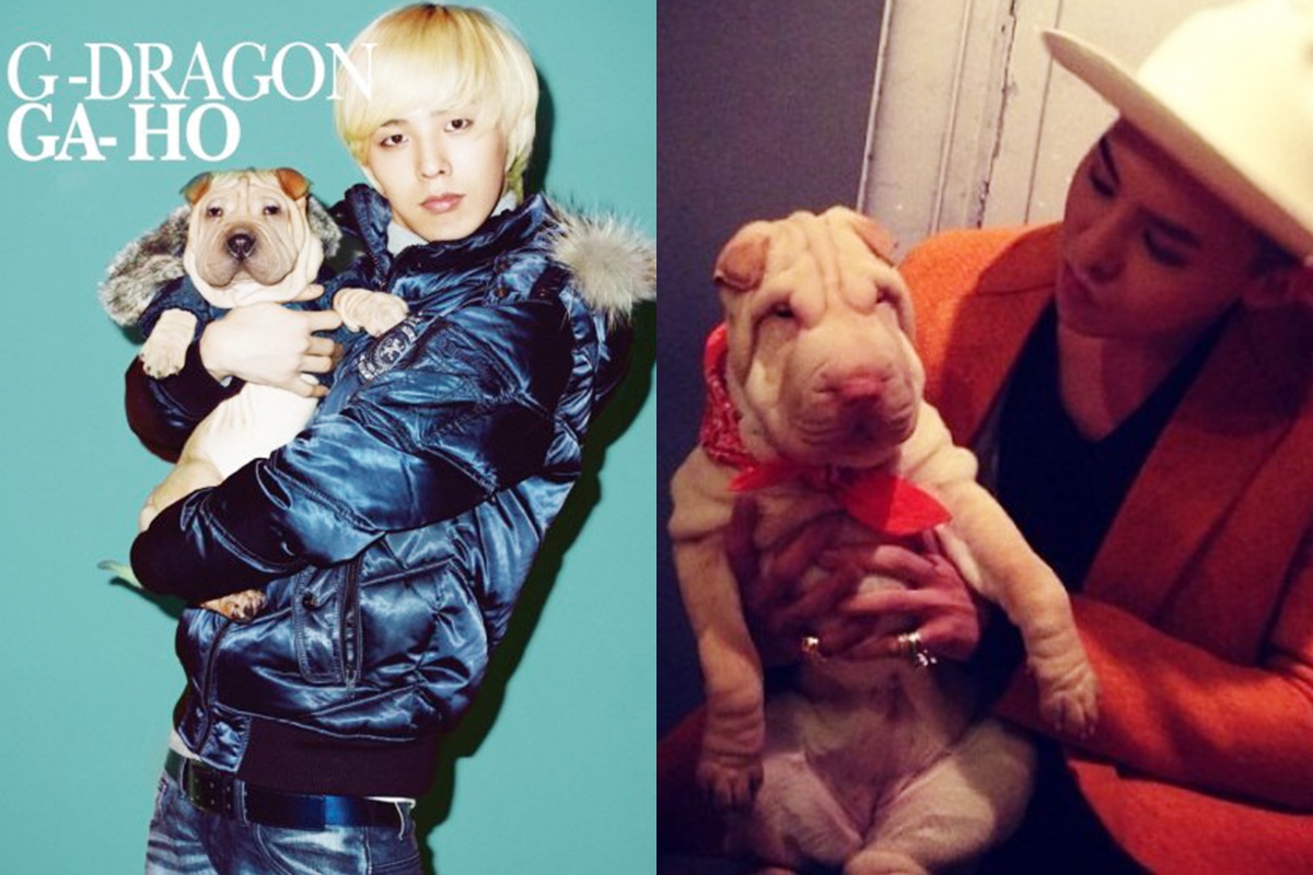 G-Dragon bi nem da vi xem cun cung nhu phu kien thoi trang hinh anh