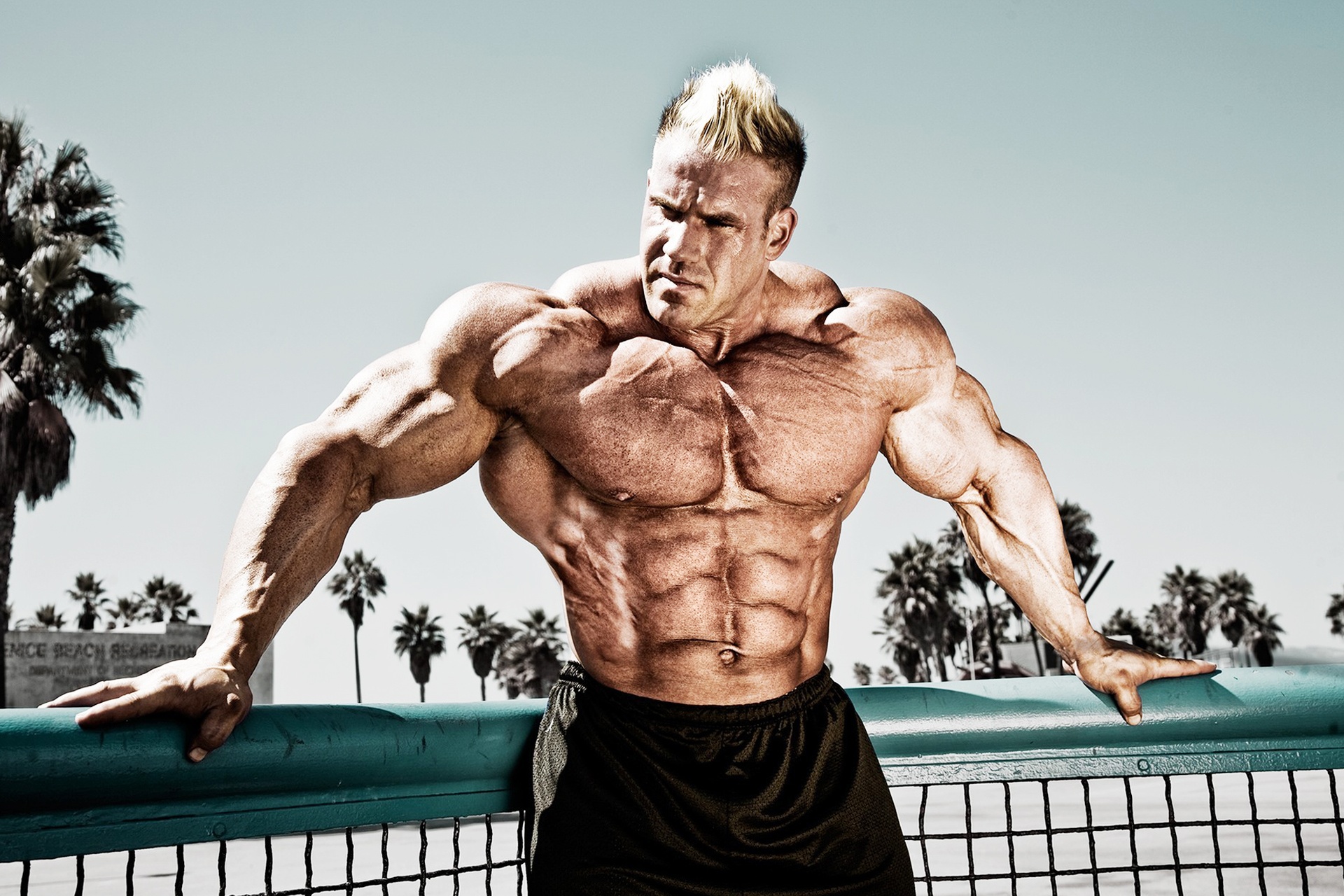 cach xay dung co bap anh 1