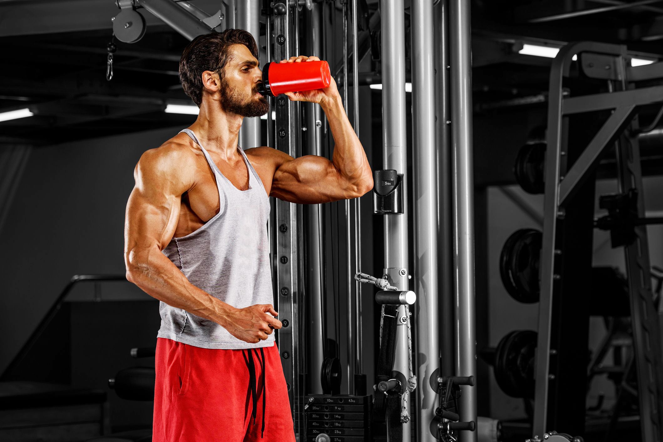 cach xay dung co bap anh 6