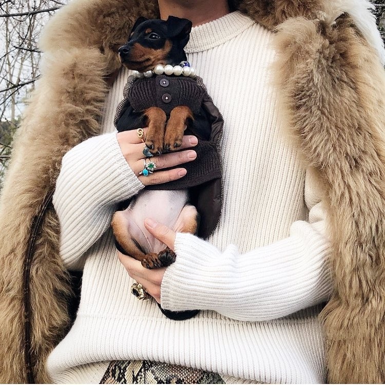 chu cho noi tieng anh 1