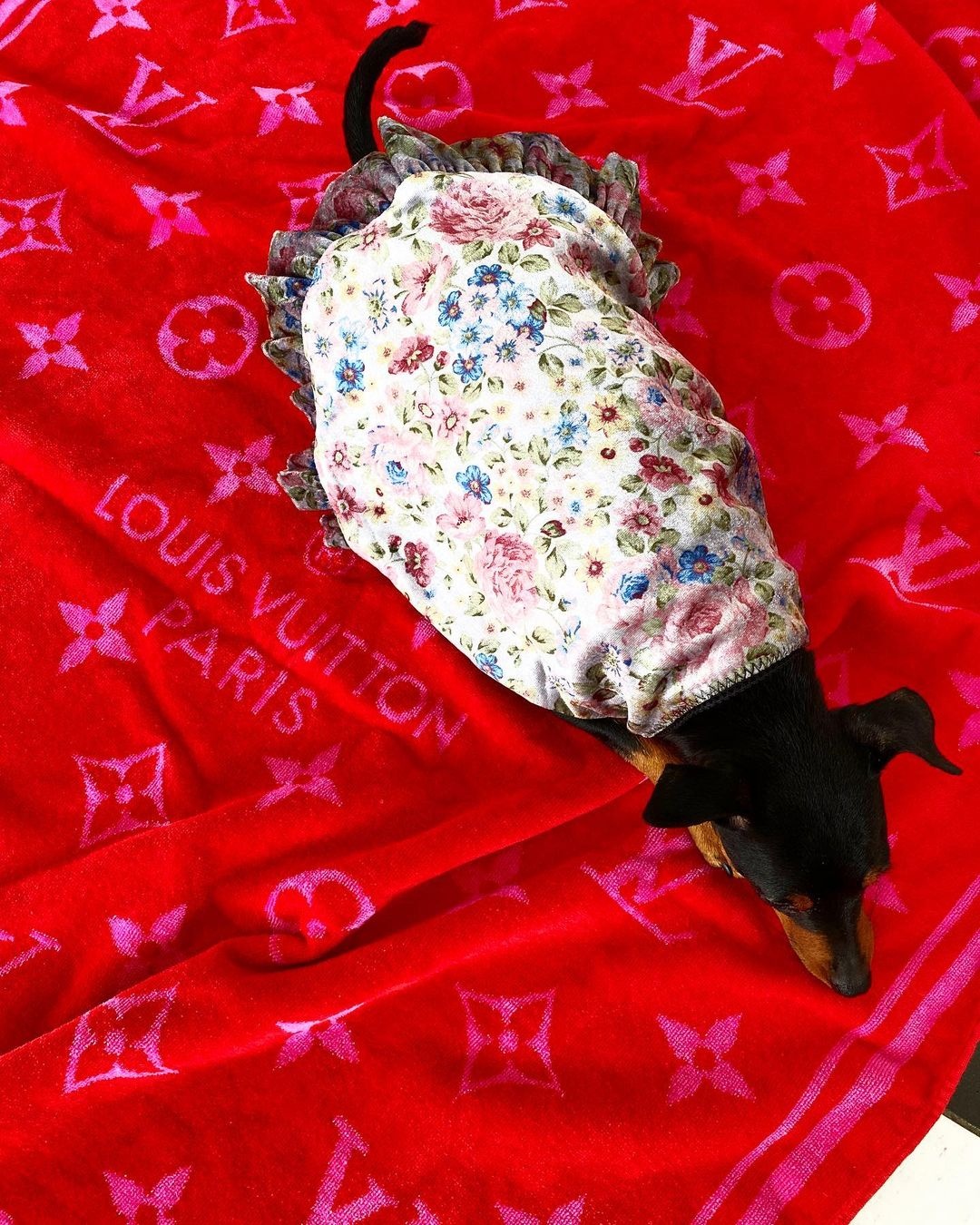 chu cho noi tieng anh 2