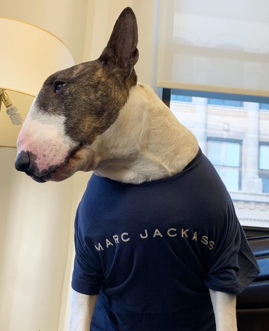 chu cho noi tieng anh 6