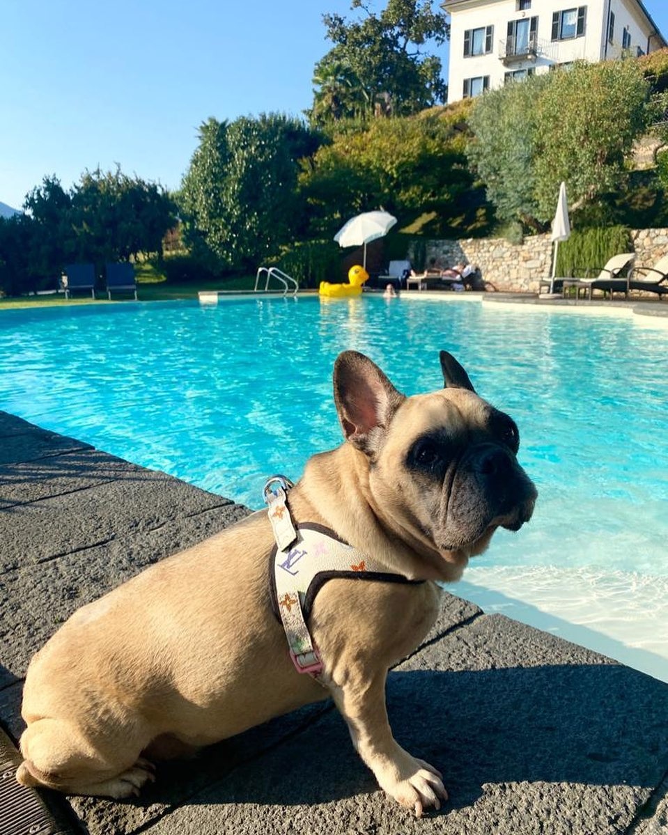 chu cho noi tieng anh 8