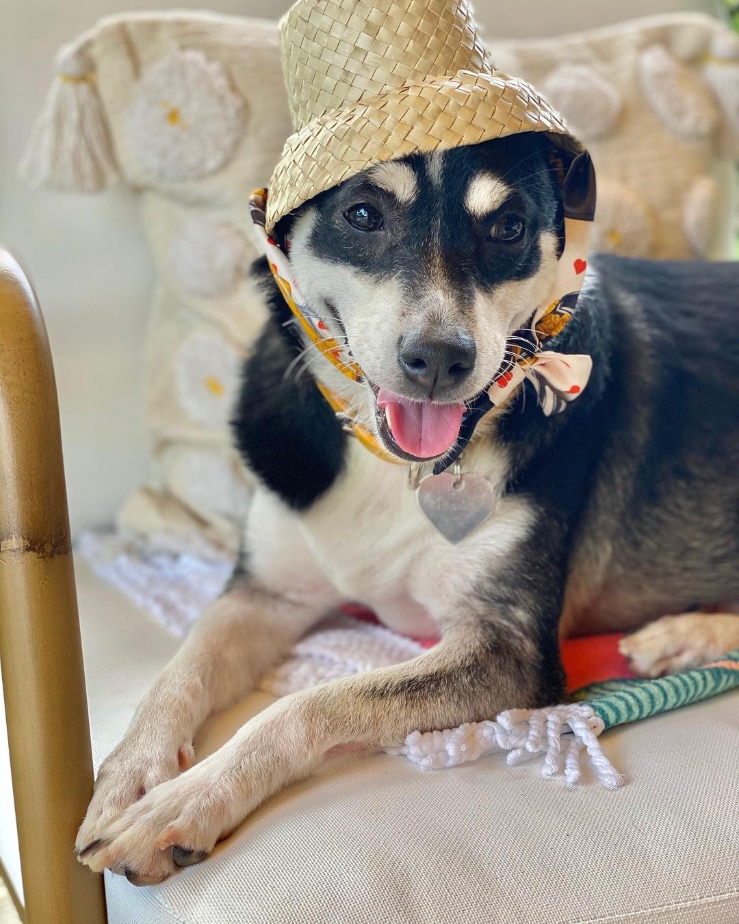 chu cho noi tieng anh 9