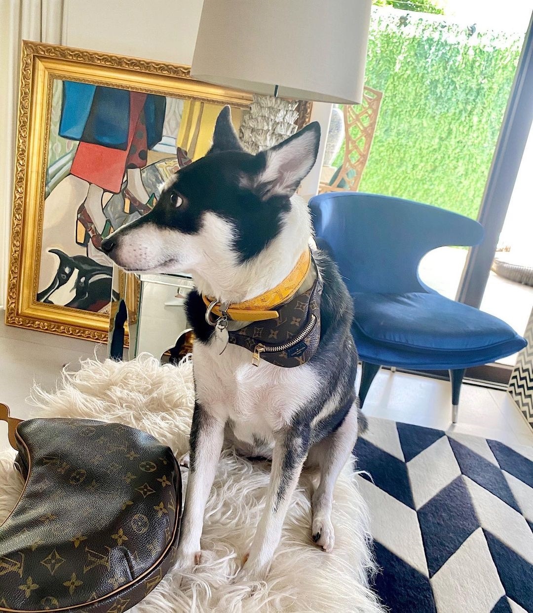 chu cho noi tieng anh 10