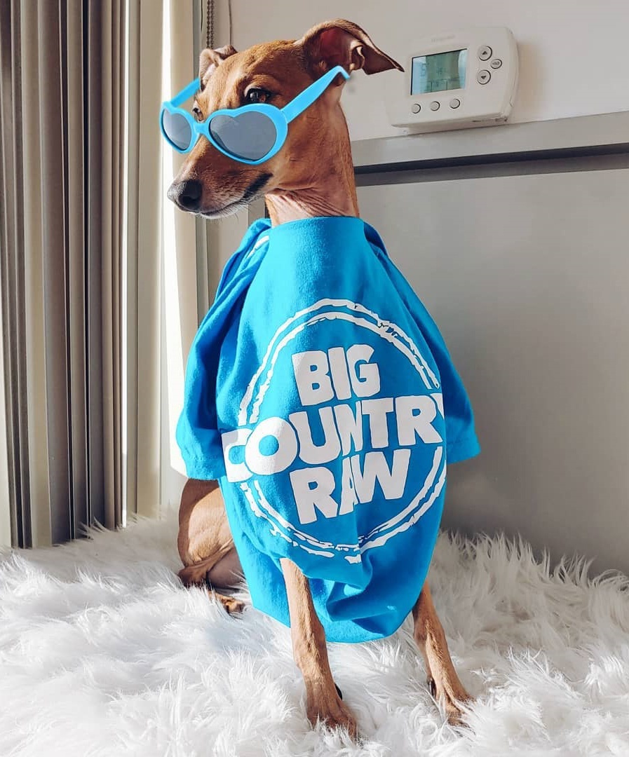 chu cho noi tieng anh 12