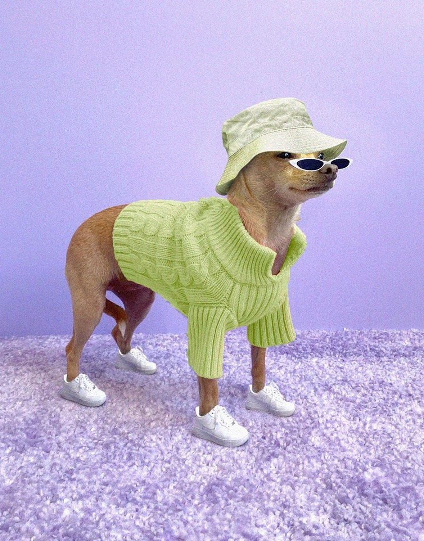 chu cho noi tieng anh 13