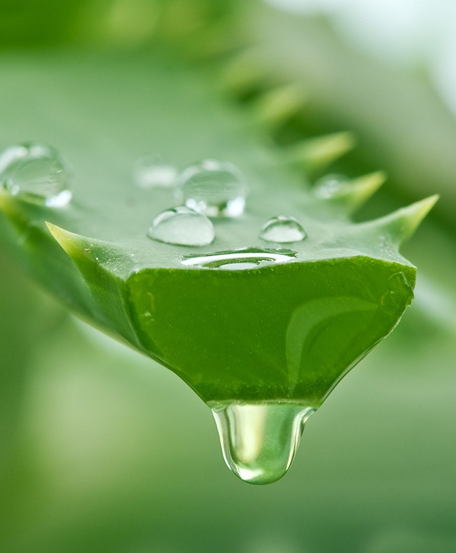 loi ich duong da anh 4