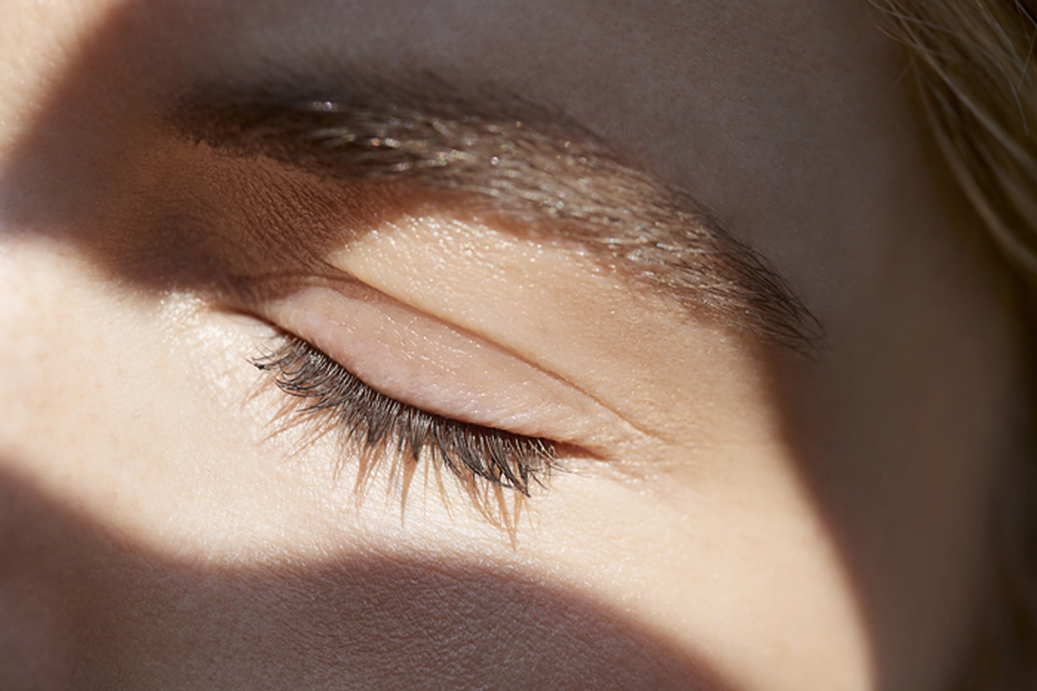 meo co hang mi cong anh 8