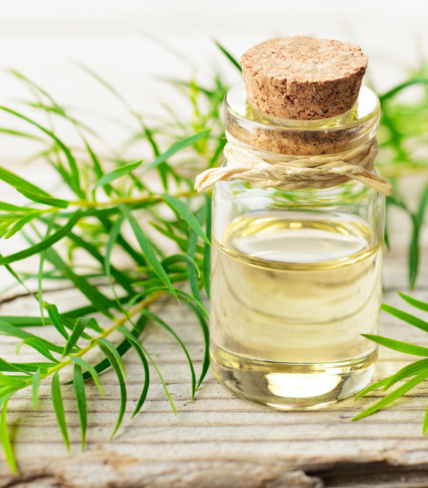 tri mun bang kem danh rang anh 9