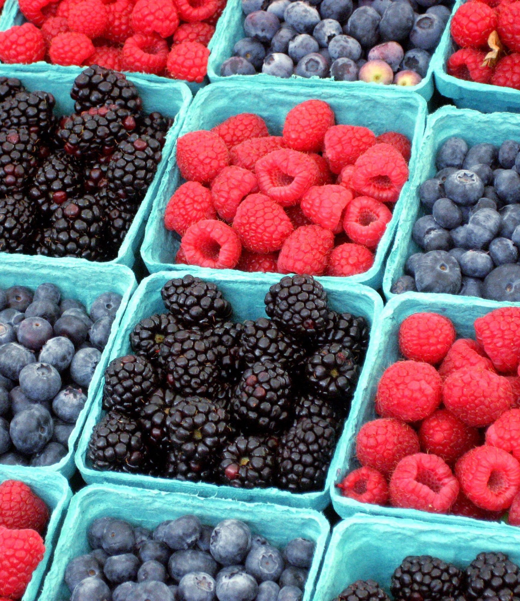 loi song anh huong den lan da anh 4