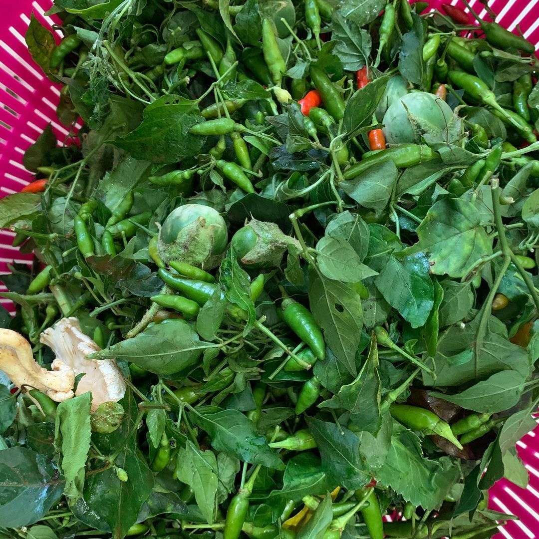 H'Hen Niê ảnh 5 H'Hen Nie anh 5