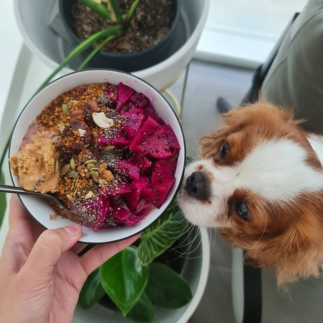 Hoa hau Hoan vu anh 5