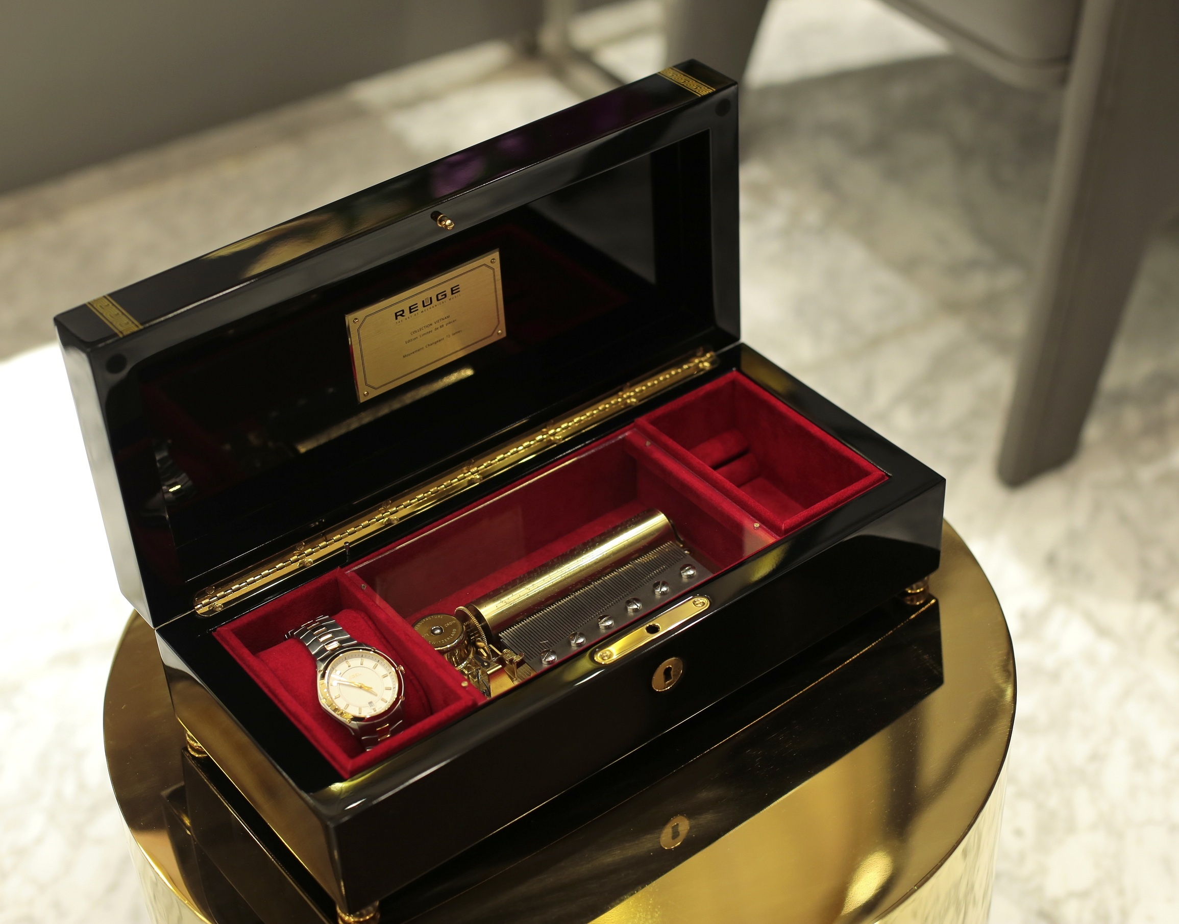 Hop nhac tien quan ca Reuge anh 5