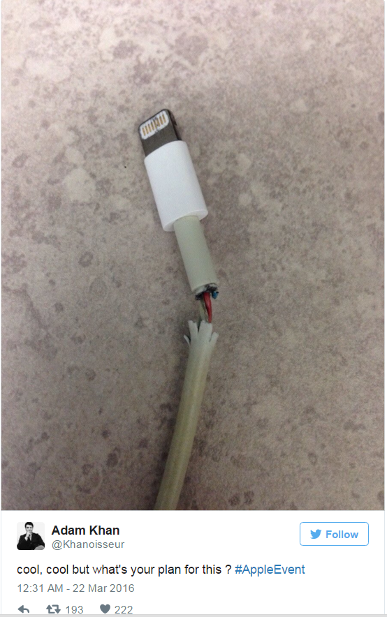 Anh che iPhone SE anh 8