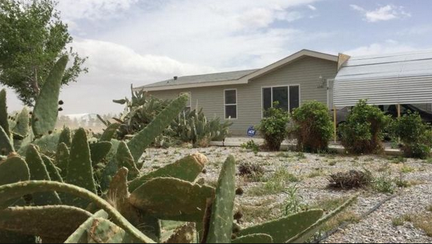 nguoi sang lap apple anh 2