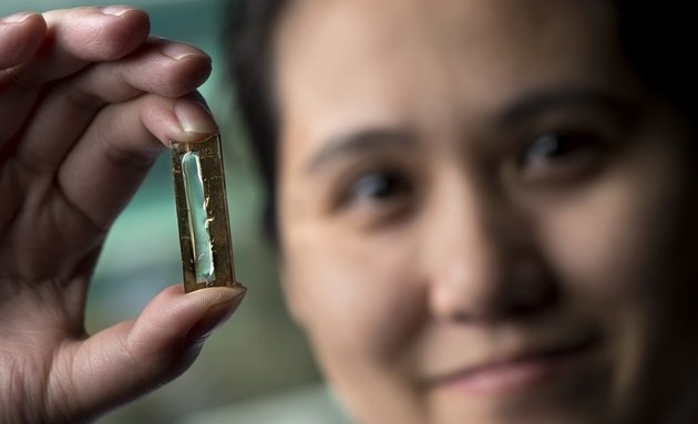 Co gai goc Viet phat minh cong nghe pin ben tron doi hinh anh