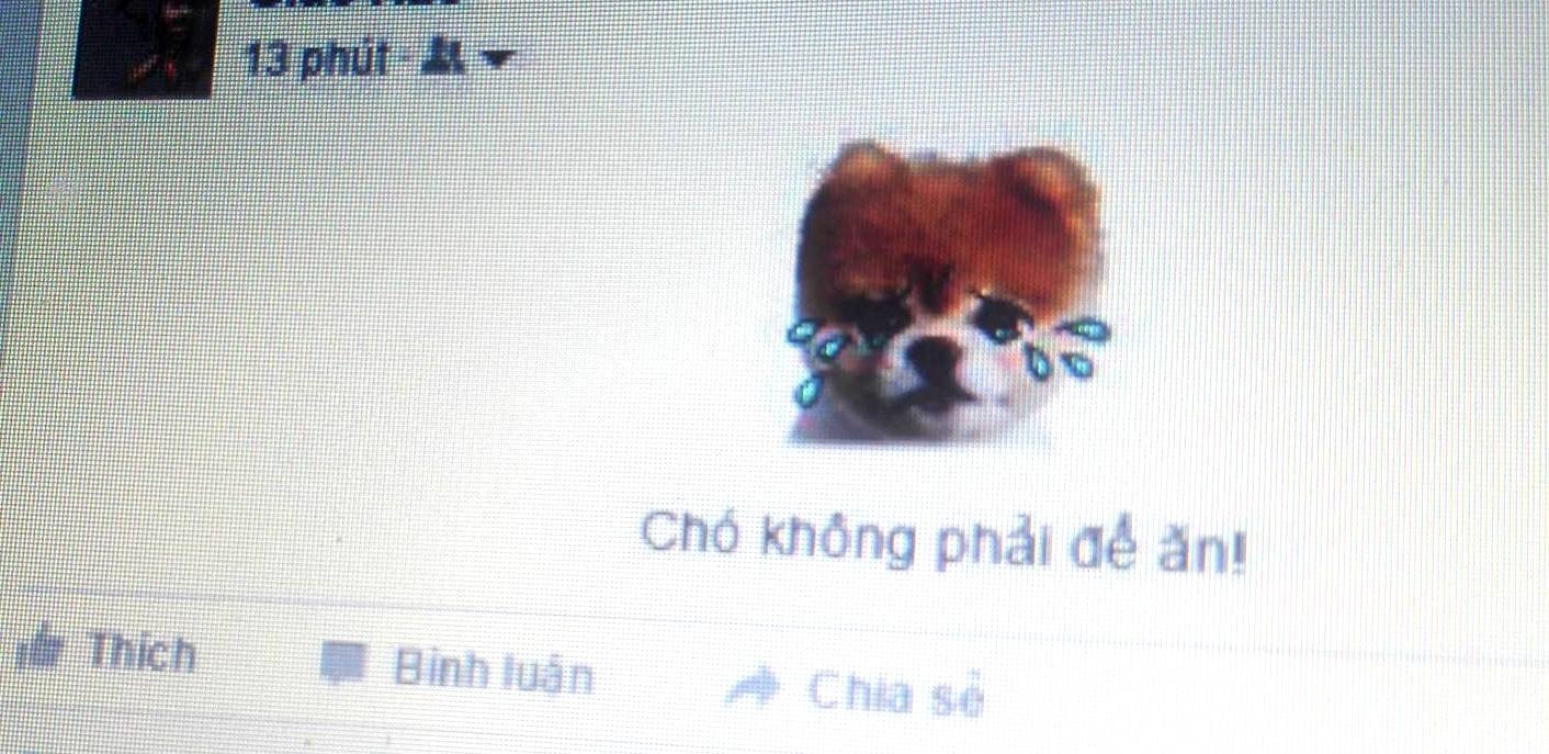 Facebook cho phep dang sticker tren dong trang thai hinh anh
