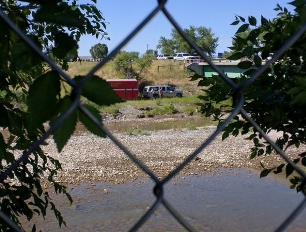 Tim thay xac chet khi dang choi Pokemon Go hinh anh