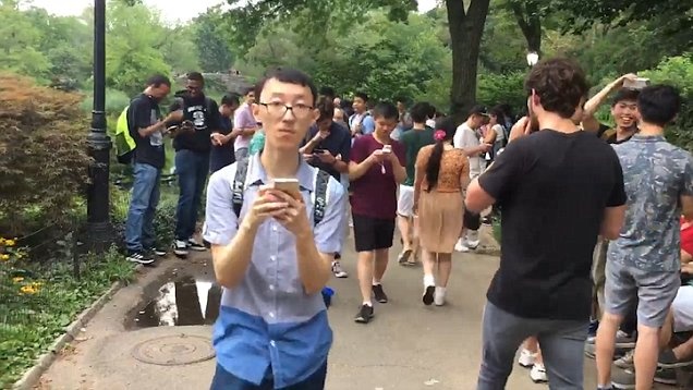 Canh di bat Pokemon Go o cong vien New York hinh anh