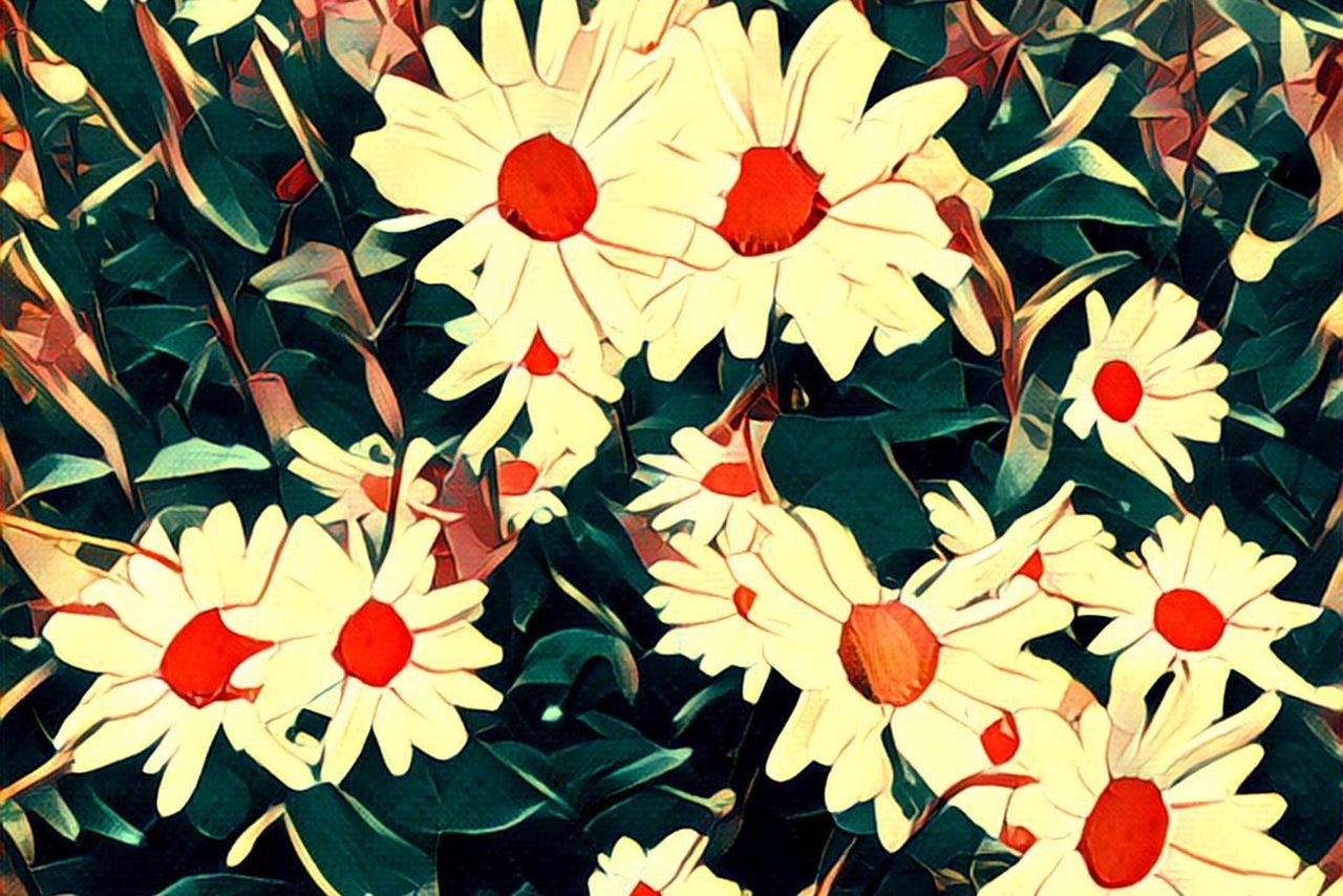 Prisma cho Android chinh thuc ra mat anh 1