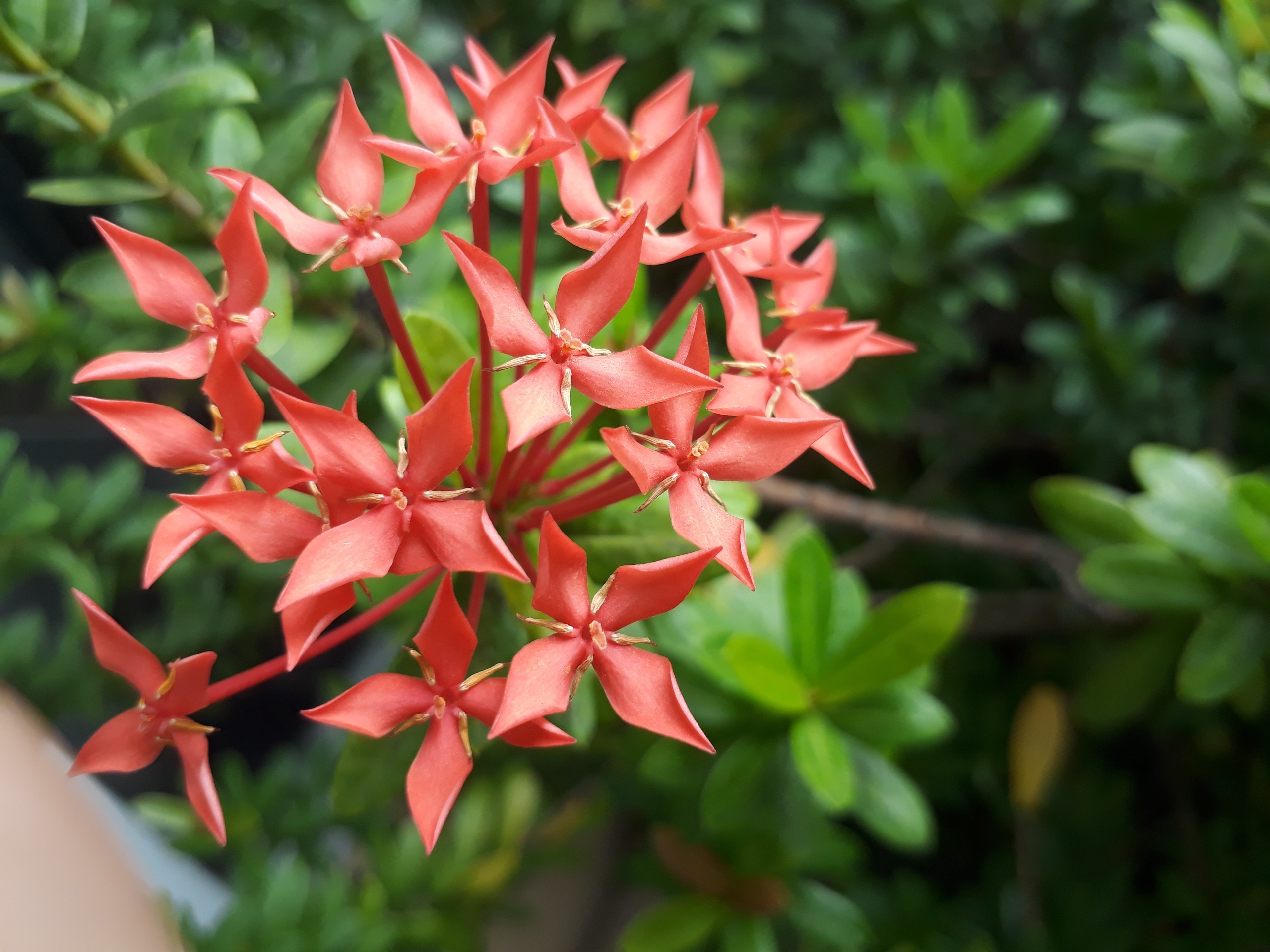 danh gia Galaxy J7 Prime anh 3